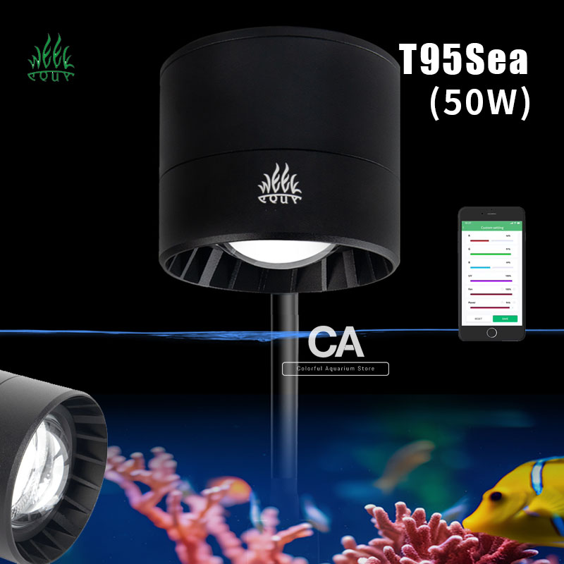 Aqua Marine Tank - WEEK AQUA Aquarium Light Manufacturers Blue