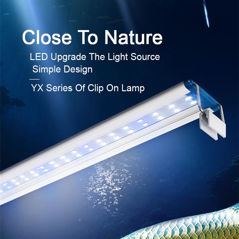 Extensible Waterproof Clip on  - Marine Aquarium Lamp review and price