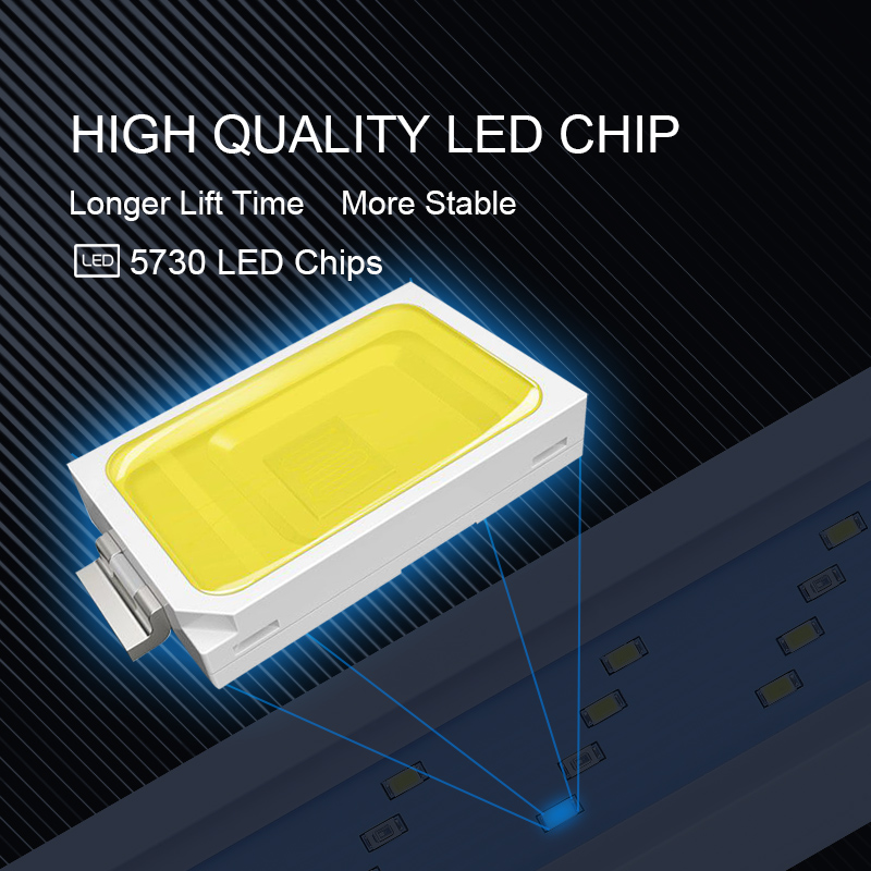 Extensible Waterproof Clip on  - Marine Aquarium Lamp review and price