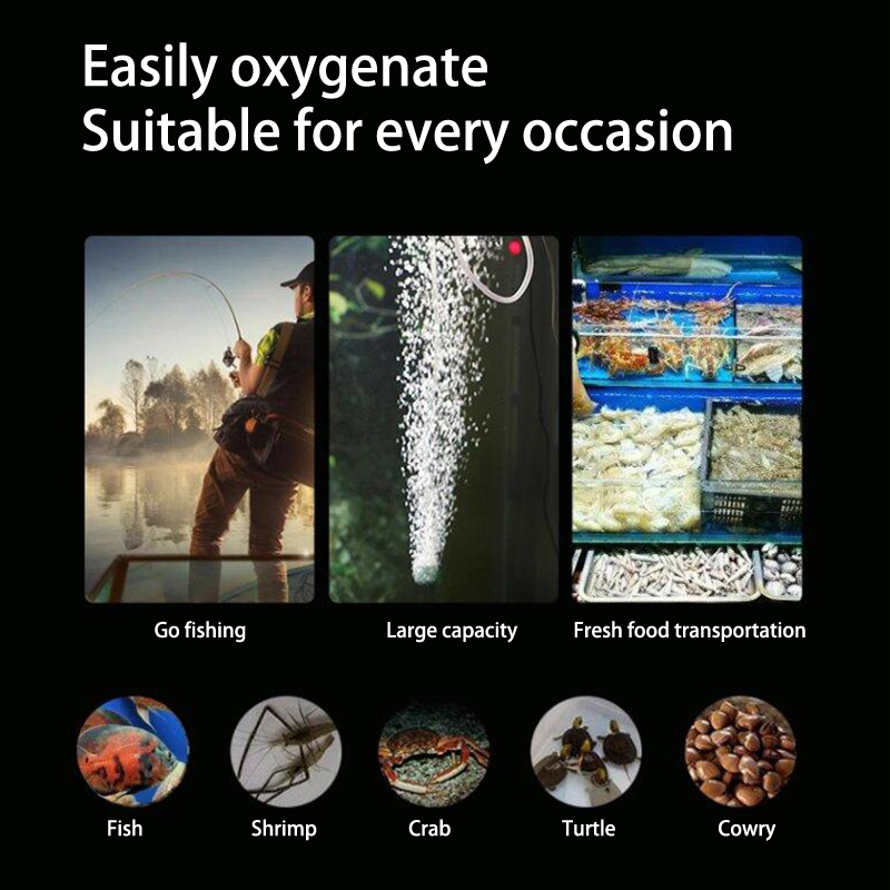 Mini Aquarium Air Pump Kit Oxy - Aquarium Marine Stone review and price