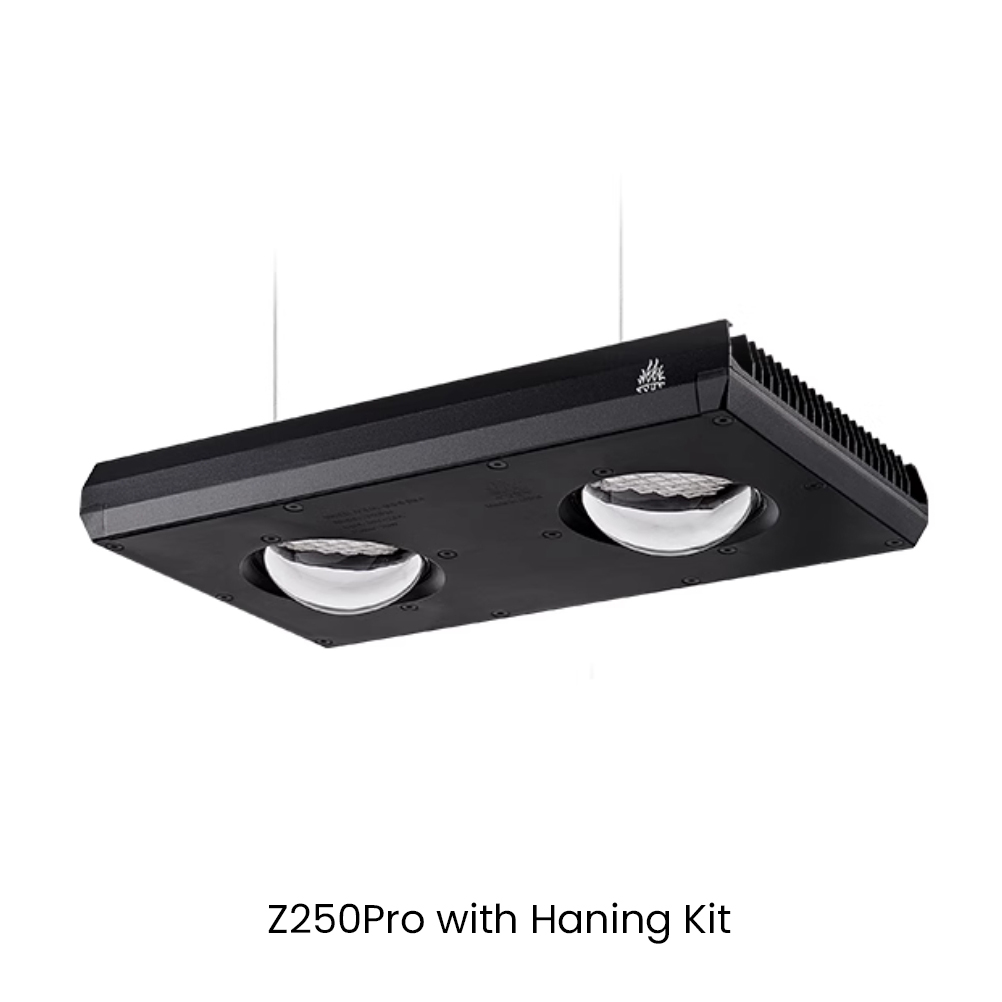 Week AQUA Z250/Z400 Sea LED Re - Aqua Marine Tank review and price
