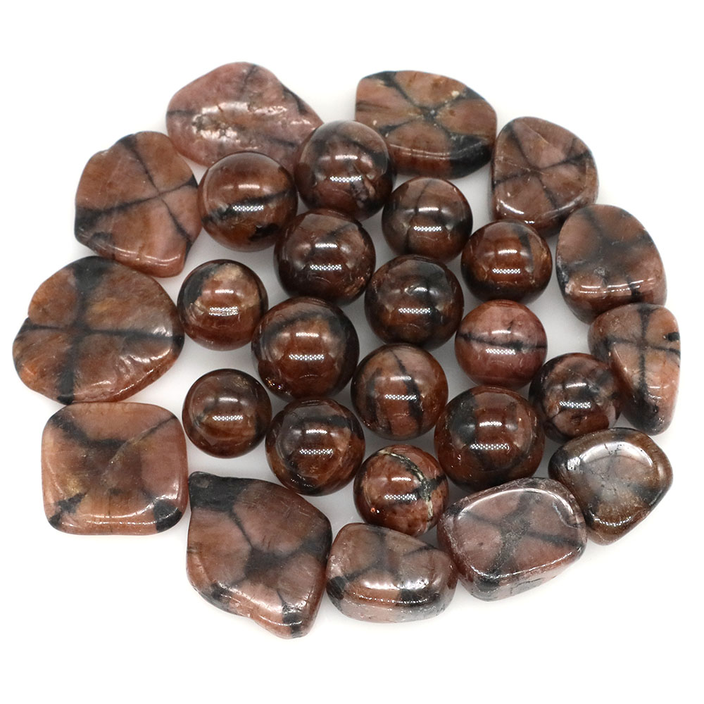 Natural Cross Chiastolite Quar - Aquarium Marine Stone review and price