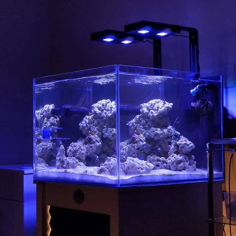 High Power DIY Spectrum 90W G5 - Aqua Marine Tank review and price