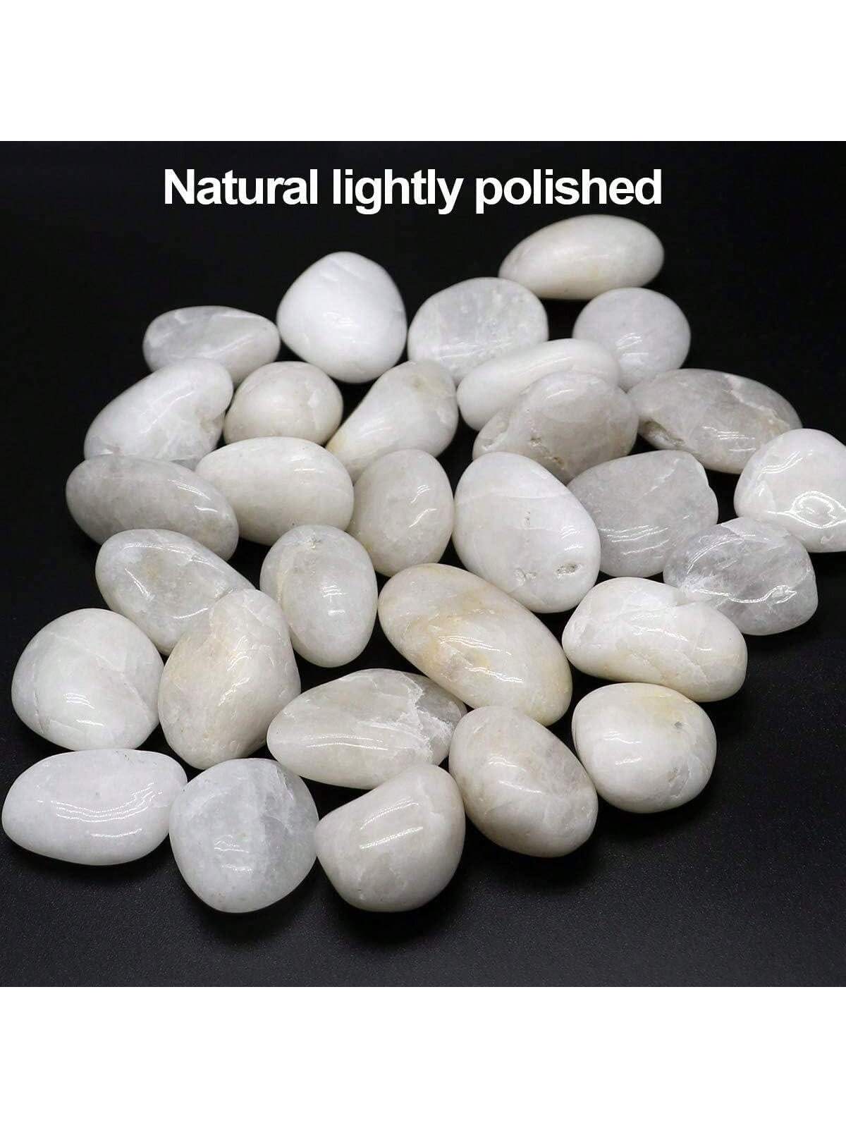River Rocks Decorative Ornamen - Aquarium Marine Stone review and price