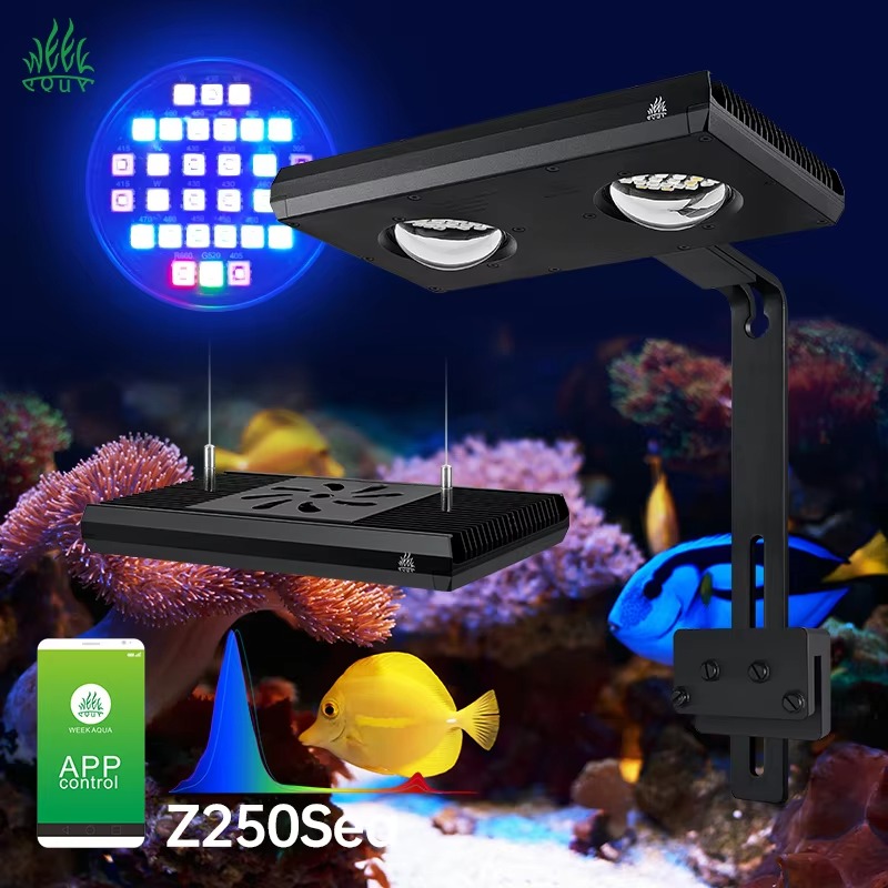 Week AQUA Z250/Z400 Sea LED Re - Aqua Marine Tank review and price