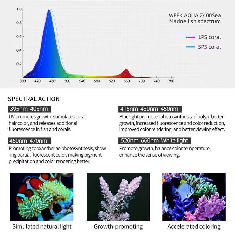Week AQUA Z250/Z400 Sea LED Re - Aqua Marine Tank review and price
