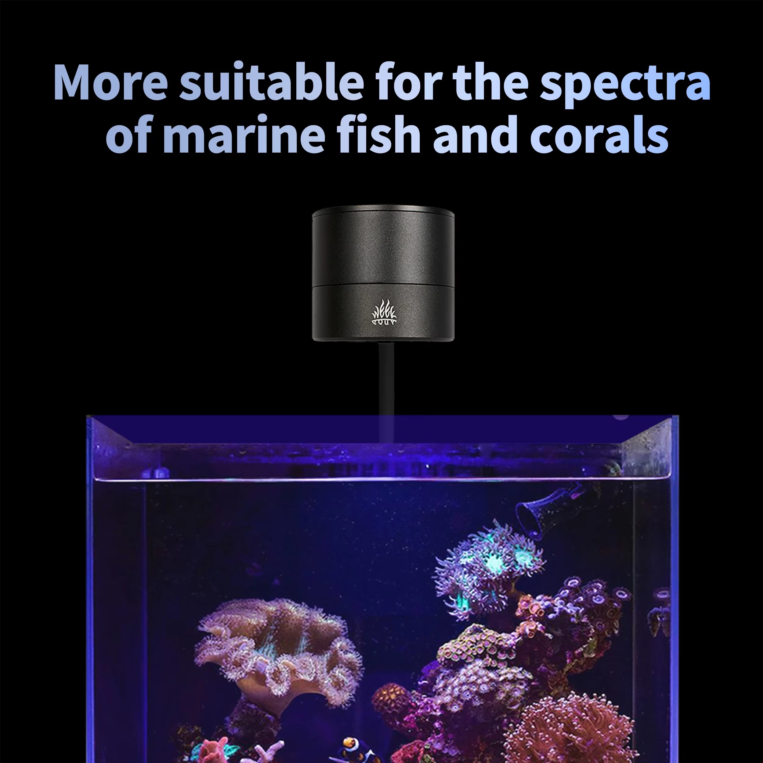 WEEK AQUA Aquarium Light Manuf - Aqua Marine Tank review and price