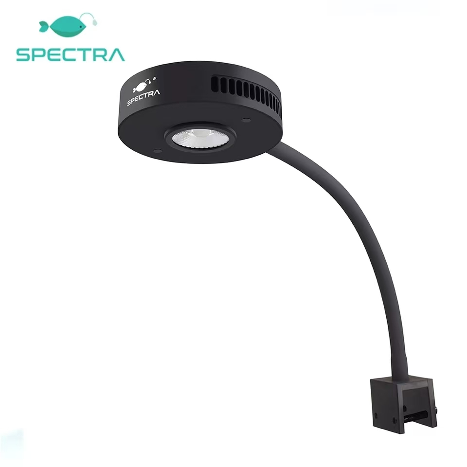 Spectra Aqua Knight V2 36W Ful - Aqua Marine Tank review and price