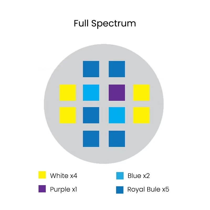 Spectra Aqua Knight V2 36W Ful - Aqua Marine Tank review and price