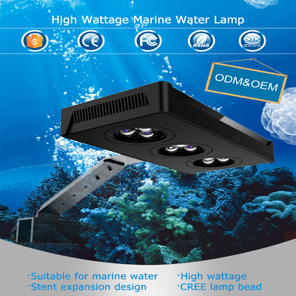 SPECTRA Aqua knight M029 Marin - Aqua Marine Tank review and price