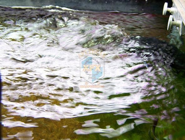 sunsun Jvp-200 newest waver ma - Aquarium Marine Color review and price