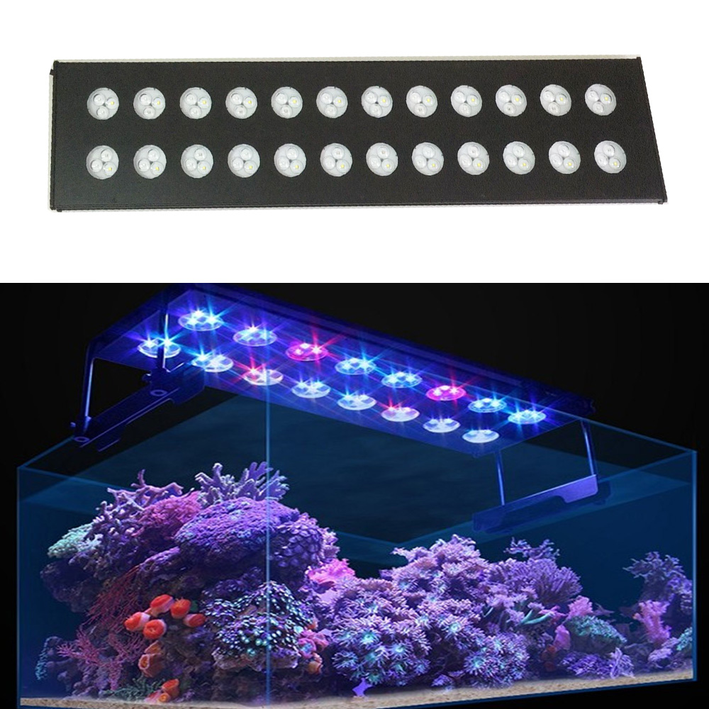 Spectra Aqua Helios WiFi Progr - Aqua Marine Tank review and price